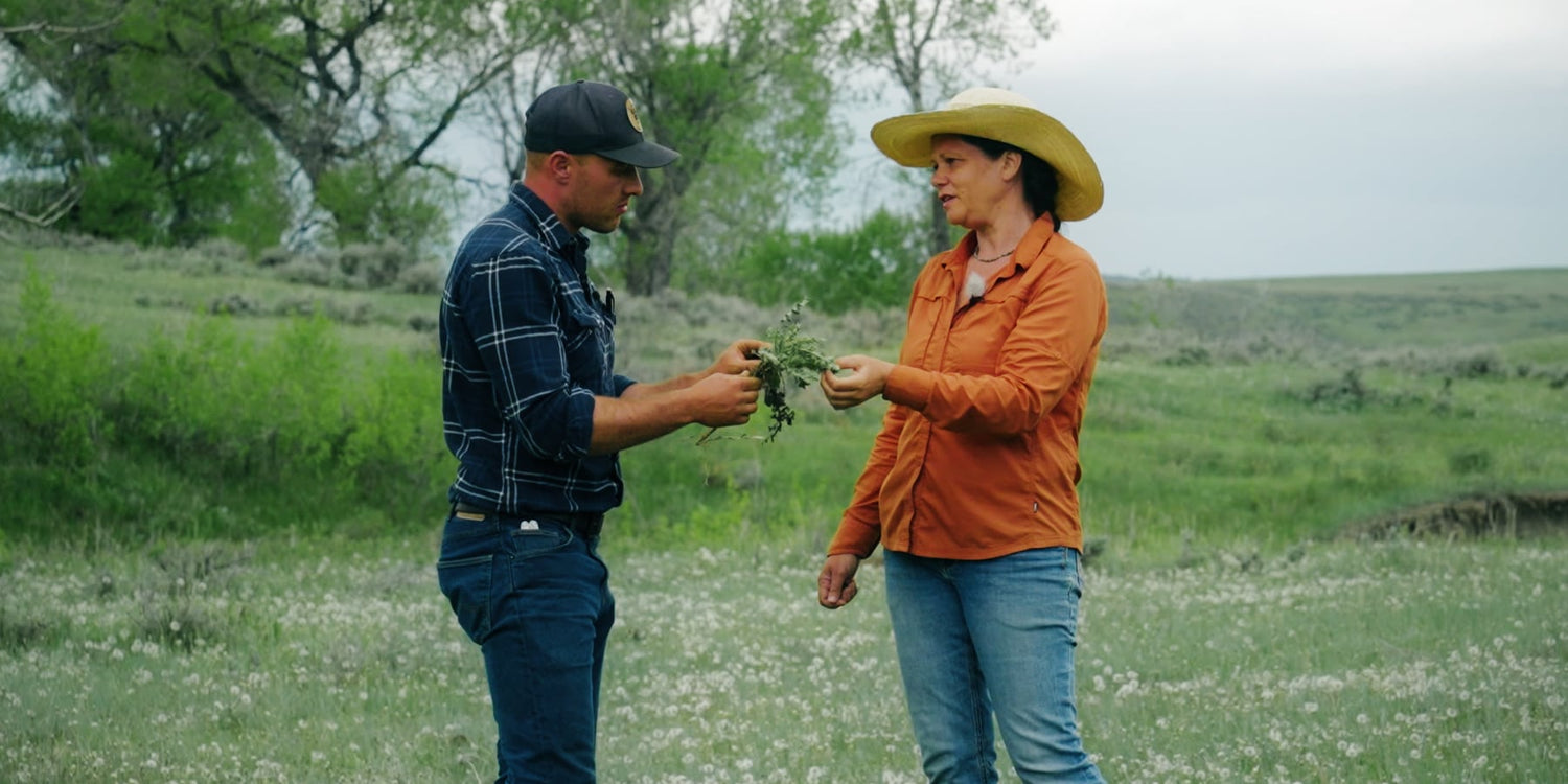 Cody and Nicole grazing