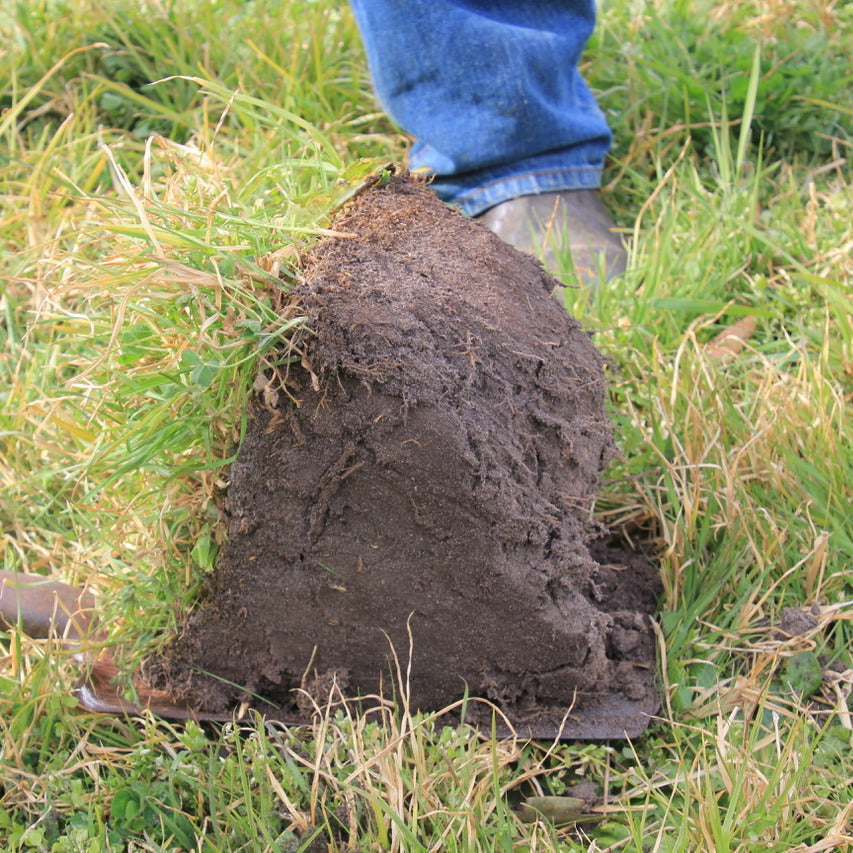 Dig a hole sandy compacted soil