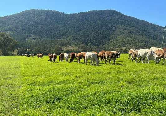 Speaking about Diversity