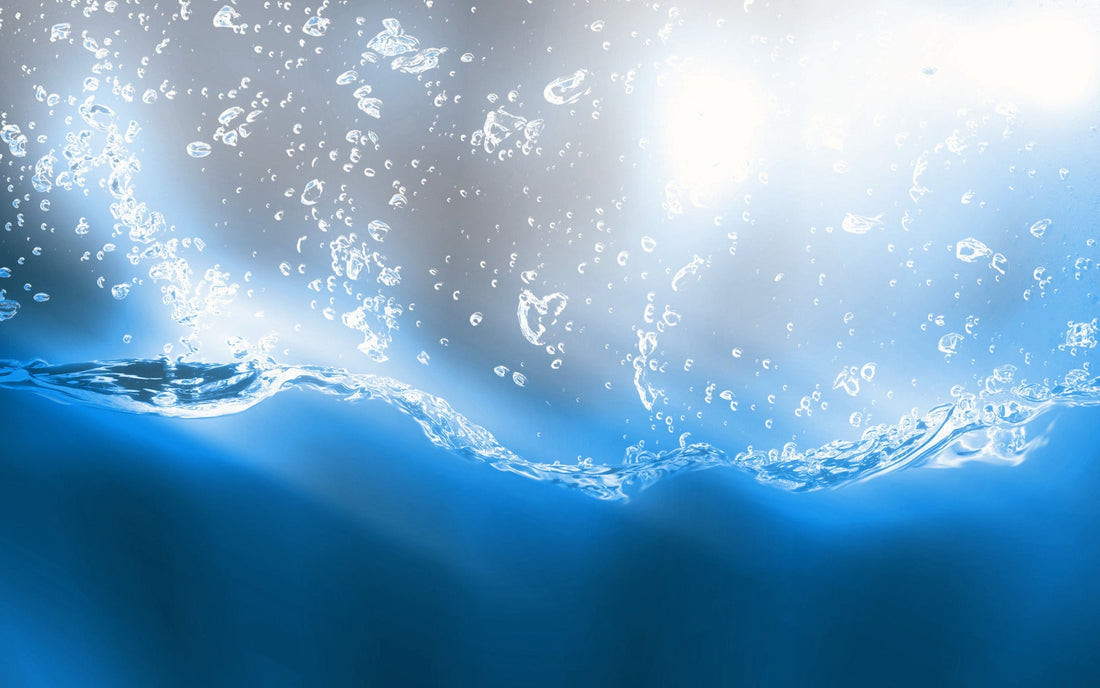 Water: from the micro to the macro, how microbes and plants shape climate.