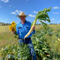 Slow the Flow 3-Day Workshop