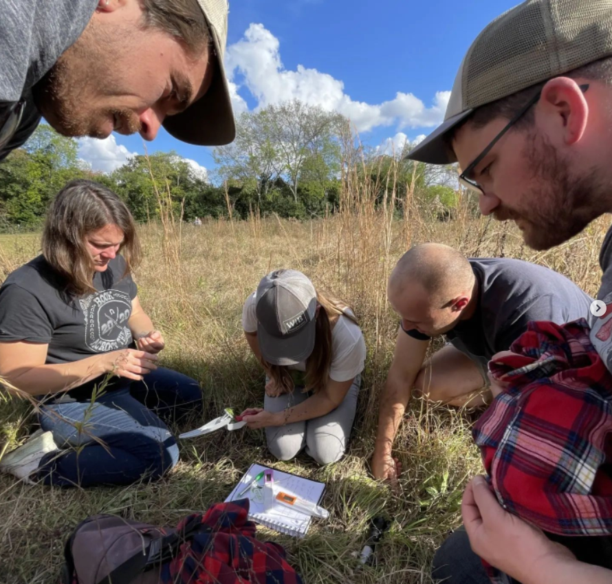 measurement with Felix