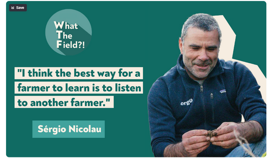 Serio Nicolau - What the Field