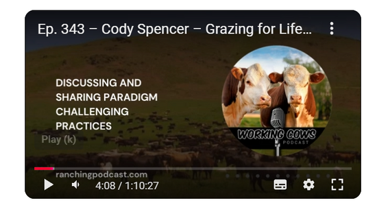 Cody Working for cows