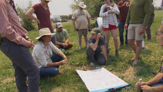 field measurements water infiltration