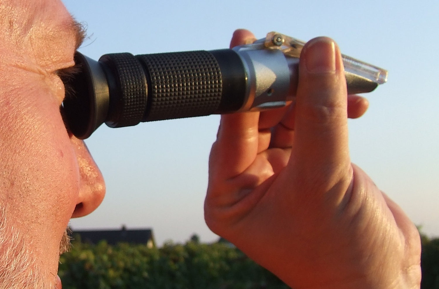 Refractometer in use