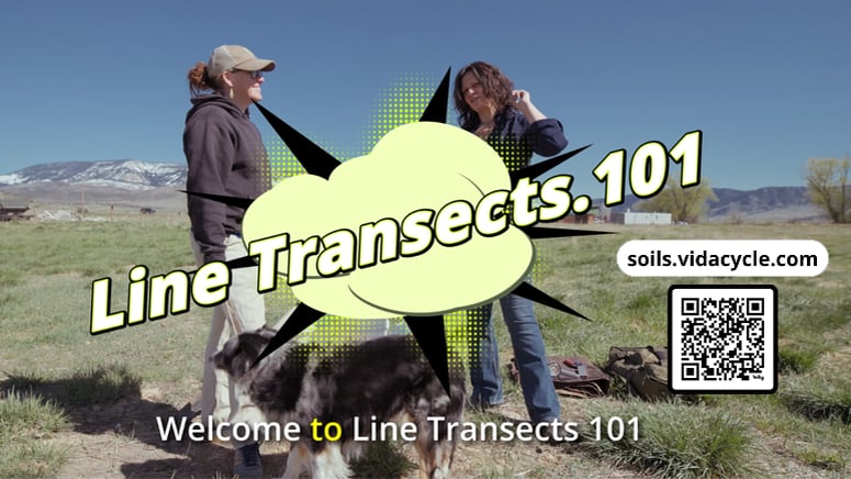 Load video: This engaging and practical video walks viewers through the “why” behind line transects, essential tools, sampling methods, and how to use the Soilmentor app to record and analyze data. With real-world tips, a dose of humour, and a focus on meaningful, decision-supporting data, this is your go-to introduction to line transects for regenerative land management.